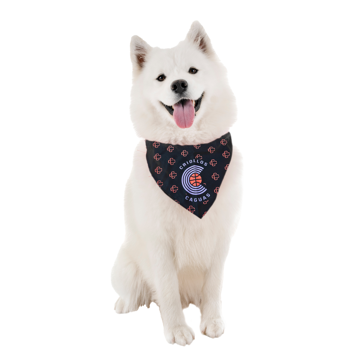 BANDANA DE PERRO